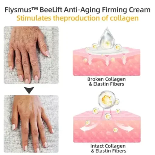 Flysmus™ BeeLift Anti-Aging Firming Cream - Image 13