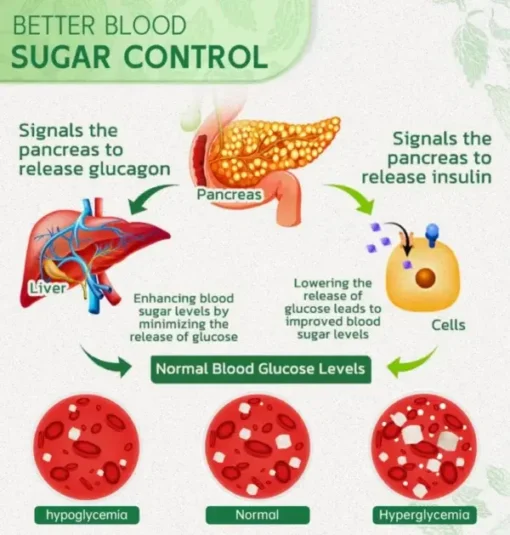 Furzero™ DiabetesCare SugarDown Health Control Spray - Image 4