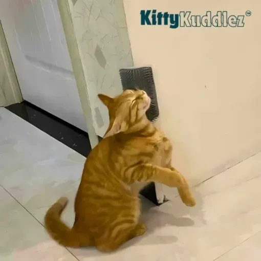 Kitty Kuddlez™ Pet Corner Brush - Image 4