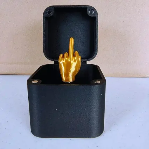 The perfect gift – the middle finger in the box