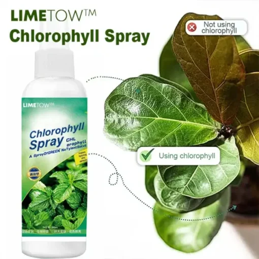 Winter Sale LIMETOW™ Chlorophyll Spray