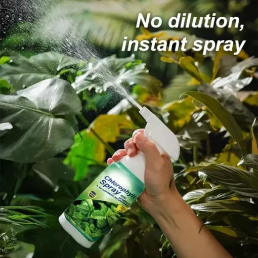 Winter Sale LIMETOW™ Chlorophyll Spray - Image 2