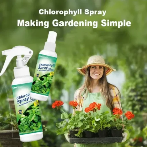 Winter Sale LIMETOW™ Chlorophyll Spray - Image 5