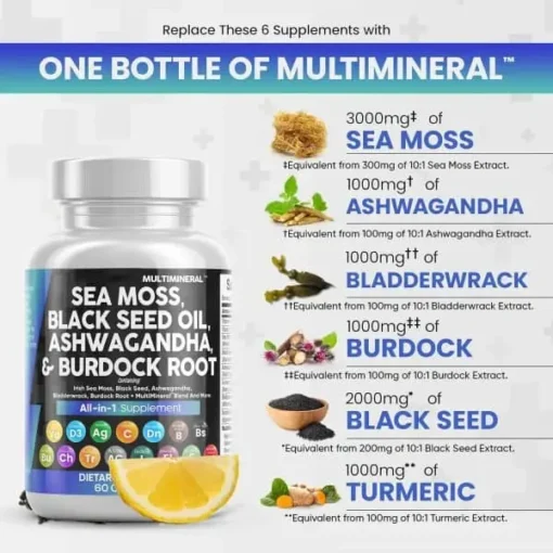 Winter Sale MultiMineral™ Sea Moss Black Seed - Image 3