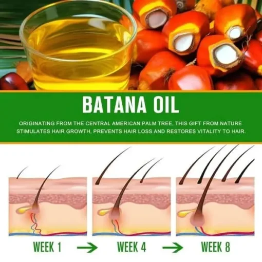 VXHDAG Batana Oil – 100% Pure & Natural from Honduras for Hair Growth, Eliminates Split Ends - Image 8