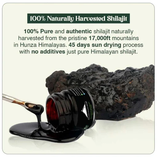 Himalayan Healing Shilajit - Image 6