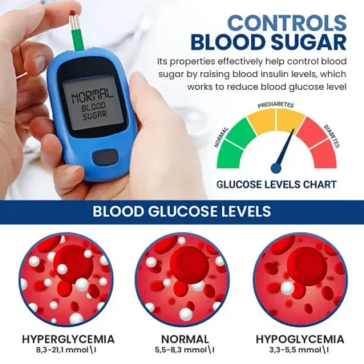 Fivfivgo™ GlucoCare Blood Sugar Control Patch - Image 6